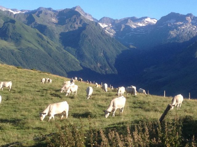 31G101247-59c01040abcd4cef80a7956ed3b25b1b