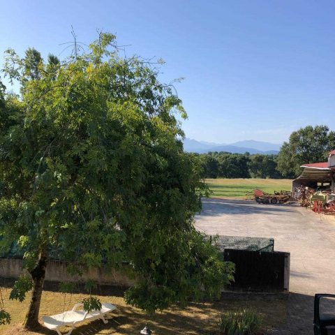 31G101249-a4abc7bb65cc487d80cde9624efc2914