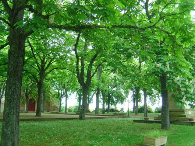 31G101275-38f85ddf2b6746199d3ac0a9b9516dcd