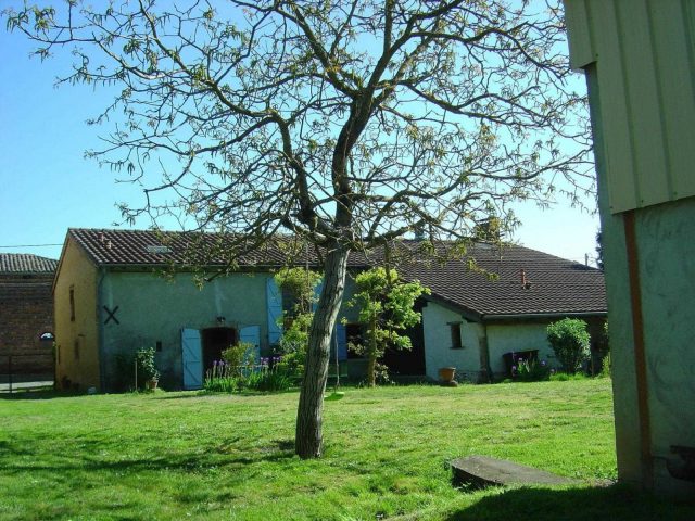 31G101275-4a54d2cd2a534b08ac33b67a34a955ea