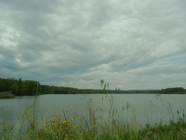 31G101275-4cebcf13a19b40459cfcfc86a6758186