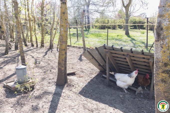 31G101275-ea4c4c14fa524baba5cf9a7ddc534b18