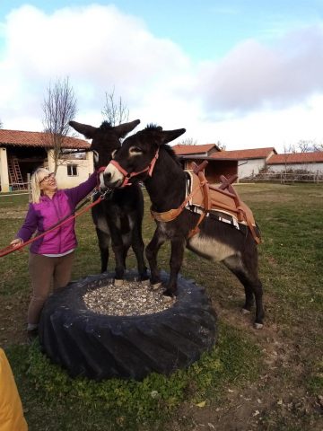 31G101281-41a826992af84a57b2b7026b255d9f9a