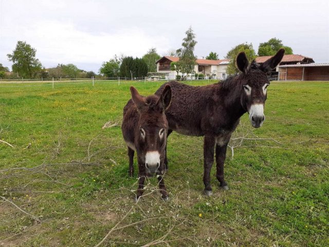 31G101281-54e4cc9d1a1c42d583fbf24a9144e23b