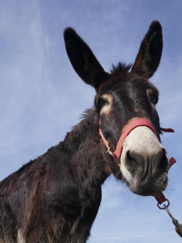 31G101281-b4164cc8d0504965be01c35c63e8b6b1