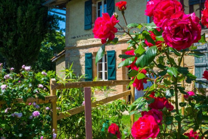 31G101284-066709f77aca4f039865550111c20bb6