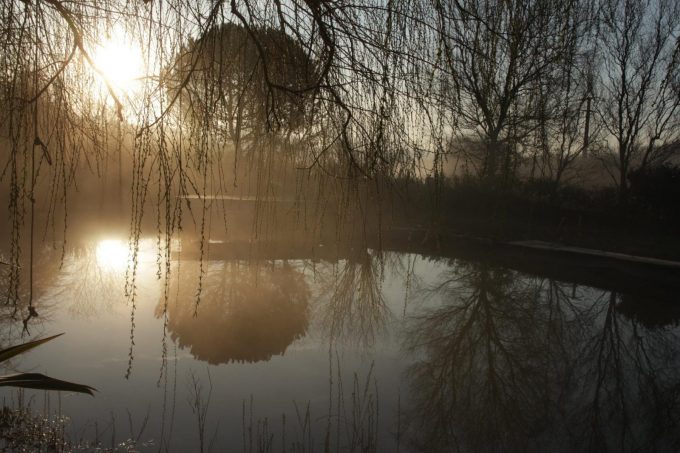 31G101284-47f82f58fbf743e5ae94898d7ee9c54a