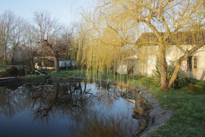 31G101284-4f0a06c839c94f5baf47990839efe5bc