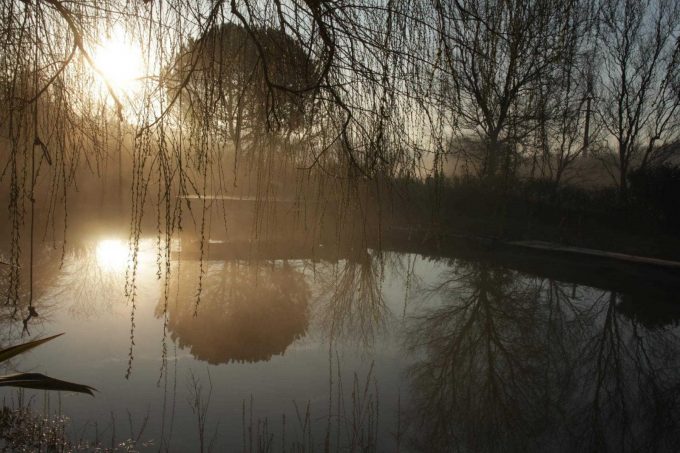 31G101284-a2f32dbf939c465f9a009c859e1be8e6