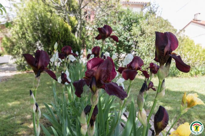 31G101297-f005d7a14d01479d9e9a4587735ec39d