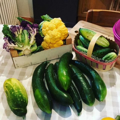 31G101336-52fd0a8bf9ea4f8497a60ef1e1942ec2