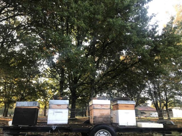 31G101336-5ec65b3aaa094e8f98d04d79a9c43690