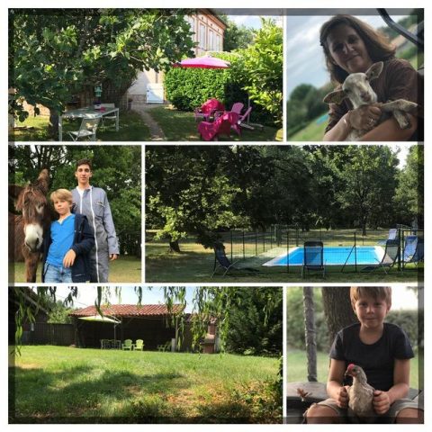 31G101336-825be69cbb694f8d8e70efecff9d2e98