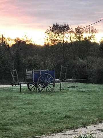 31G101336-bf01ecc974b04342b519063e00e58e8a