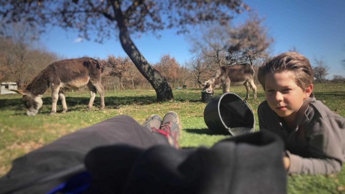 31G101336-d3f3271431464af5961ff128525f4ddc