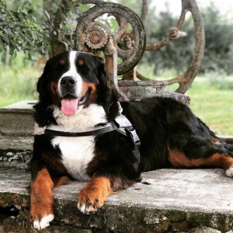 31G101336-f1e6a3b612fa49408600ac38ab0c39be