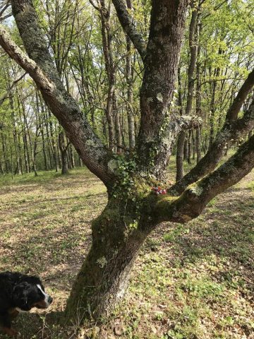 31G101337-079284068cd64ea8b54c6566290d7877