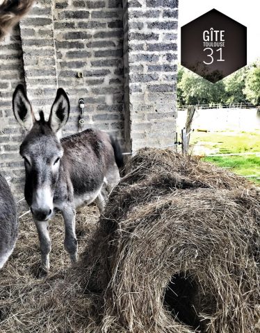 31G101337-07f584a257f0462db52a44e5d5e5370f