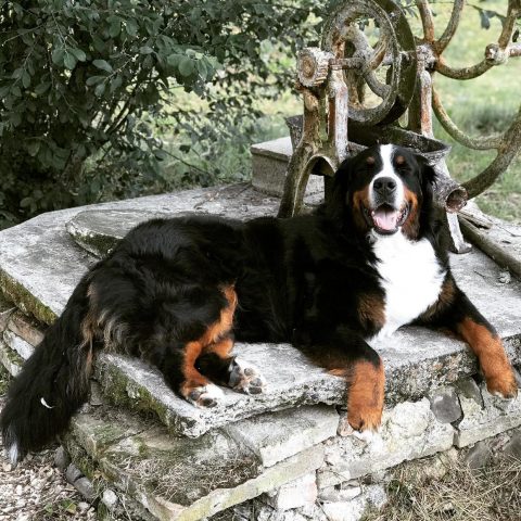 31G101337-0915c85aff1b40eba090a58d6465dfe3