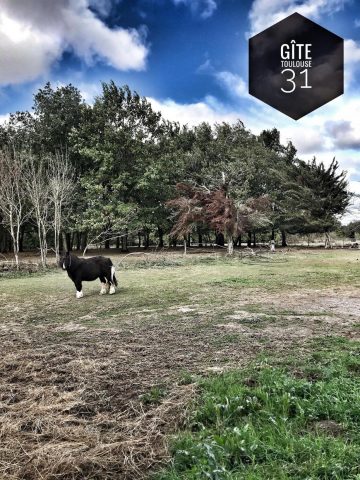 31G101337-1a1520bad88d4be9906bab28835260bb