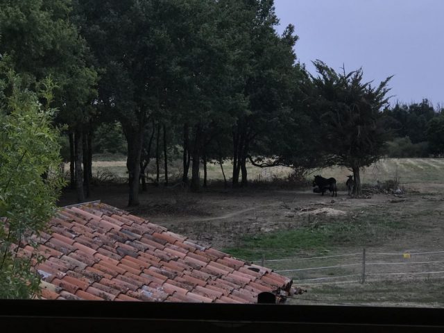 31G101337-324491bd76544723b0fcb88da92c5024