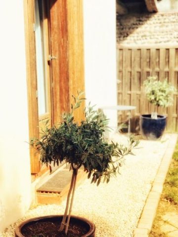 31G101337-3569e52e66124cfeac80c191fbe0ef19