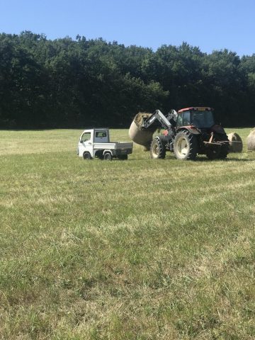 31G101337-40f2a88d58fb42ac8f6fe50be306632b