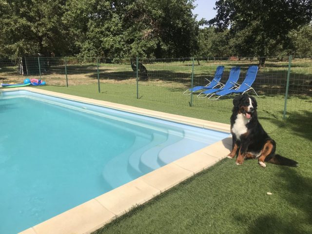 31G101337-486782628da74d7a9edc702687fabc4f