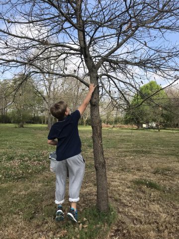 31G101337-52d1ce5701f4448daf3fac2ce68fe1cd