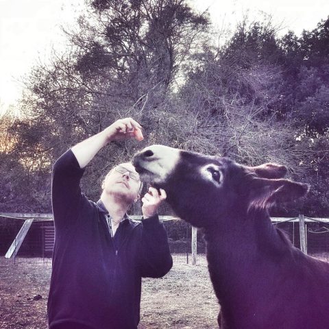 31G101337-5560743ac8cf4b139f74c036ed3d66eb