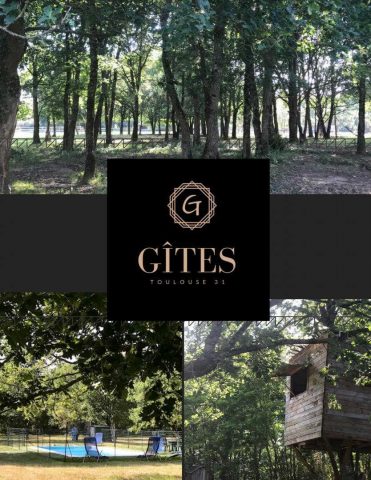 31G101337-72d4cbcc929a4e0c819d43eb70ac11d6