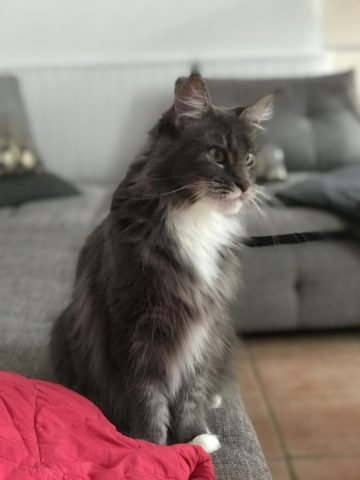 31G101337-7f0d80e0845f495388056749784d4f3b