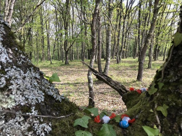 31G101337-96498c6ced5f46ec98729c78e53592cb