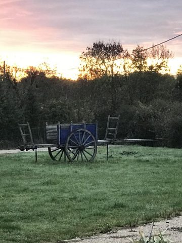 31G101337-e3590678dd70448fb181c8b9d1c5f14a