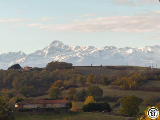 31G101342-05dcd076476e4947876a2c7d73e01df8