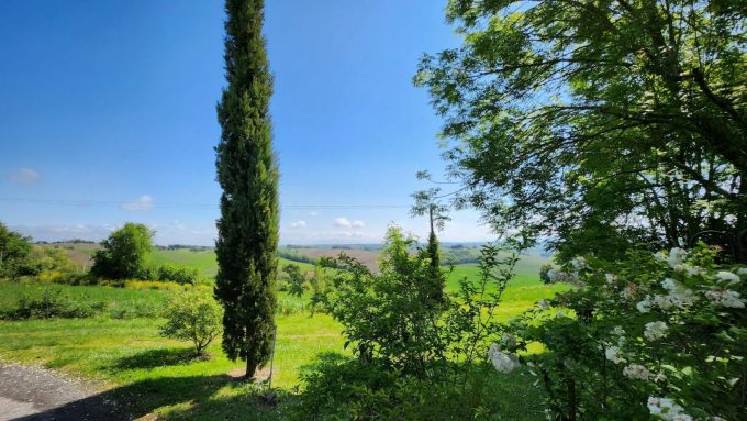 31G101342-22edc997988547a787fc3df3d7b50402