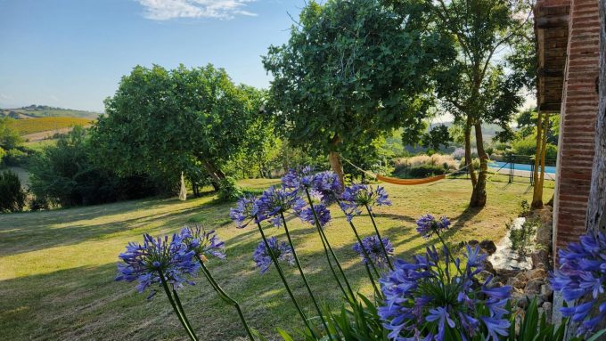 31G101342-2ed648a41397452fa1a06dcfef0c093a