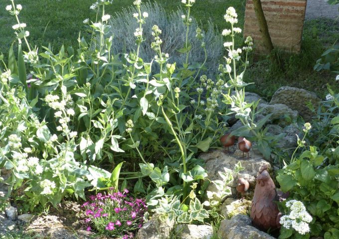 31G101342-403d99f2660e472b9bc0b1a3a7a2414b