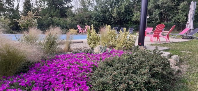 31G101342-67e1d92b73774dd895a3a5c8e9e598cb