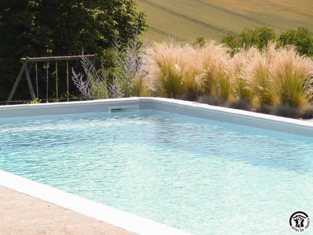 31G101342-79df77201b6a472e9b5c8cf8cb7633ce