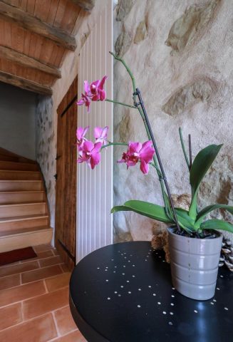 31G101342-bc216ec8dbb24baaa86c1ead7621ec02