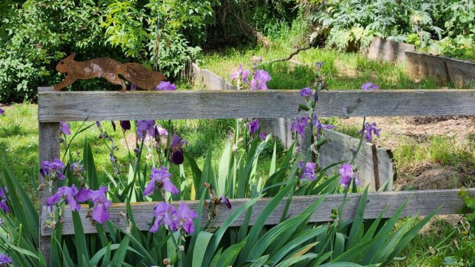 31G101342-e9e9b4ff8058429f8c9f59540f20ff7b