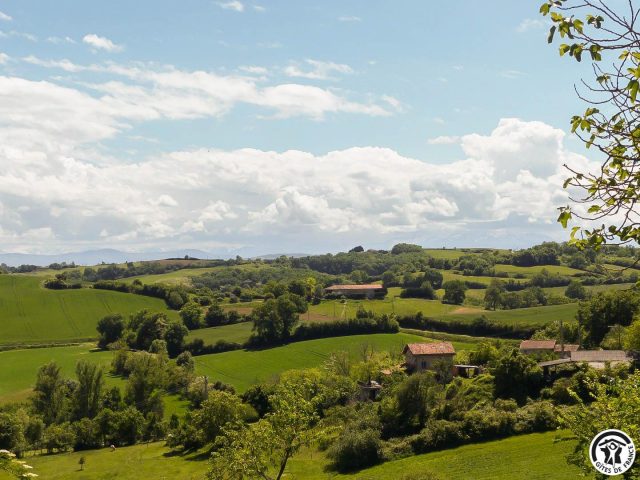 31G101342-fce89da26c36431a8e9c122f986b8a3f