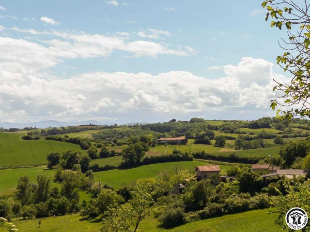 31G101343-04b3695d7d7e44d49aee34b5762a906e