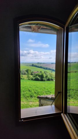 31G101343-b53ef1be87c74b45a6e0b90e19648502