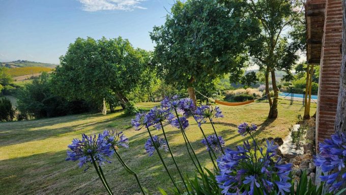 31G101343-f72bc2a1c246438aacf57a66e3197716