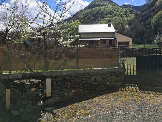 31G101360-00e1b8b552ef4d99873f14ee4d08e868