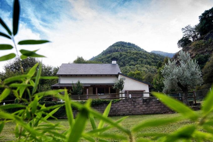 31G101360-18db351223fa4e35abc5cb4360334f84