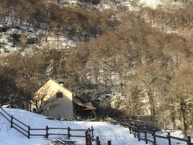 31G101360-7b62323008384f99a5b726e7dc29f7d8