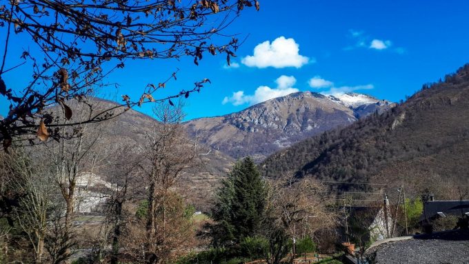 31G101360-b49ac8b4633543f8a08104a7cfc5a8de